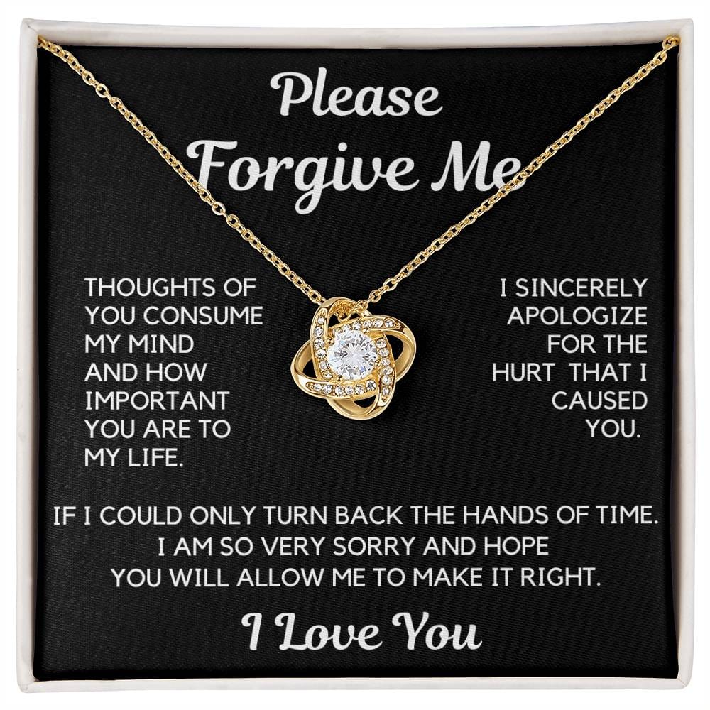 Apology Gift | I Am Sorry, From Him To Her, From Husband, Boyfriend Forgiveness Necklace