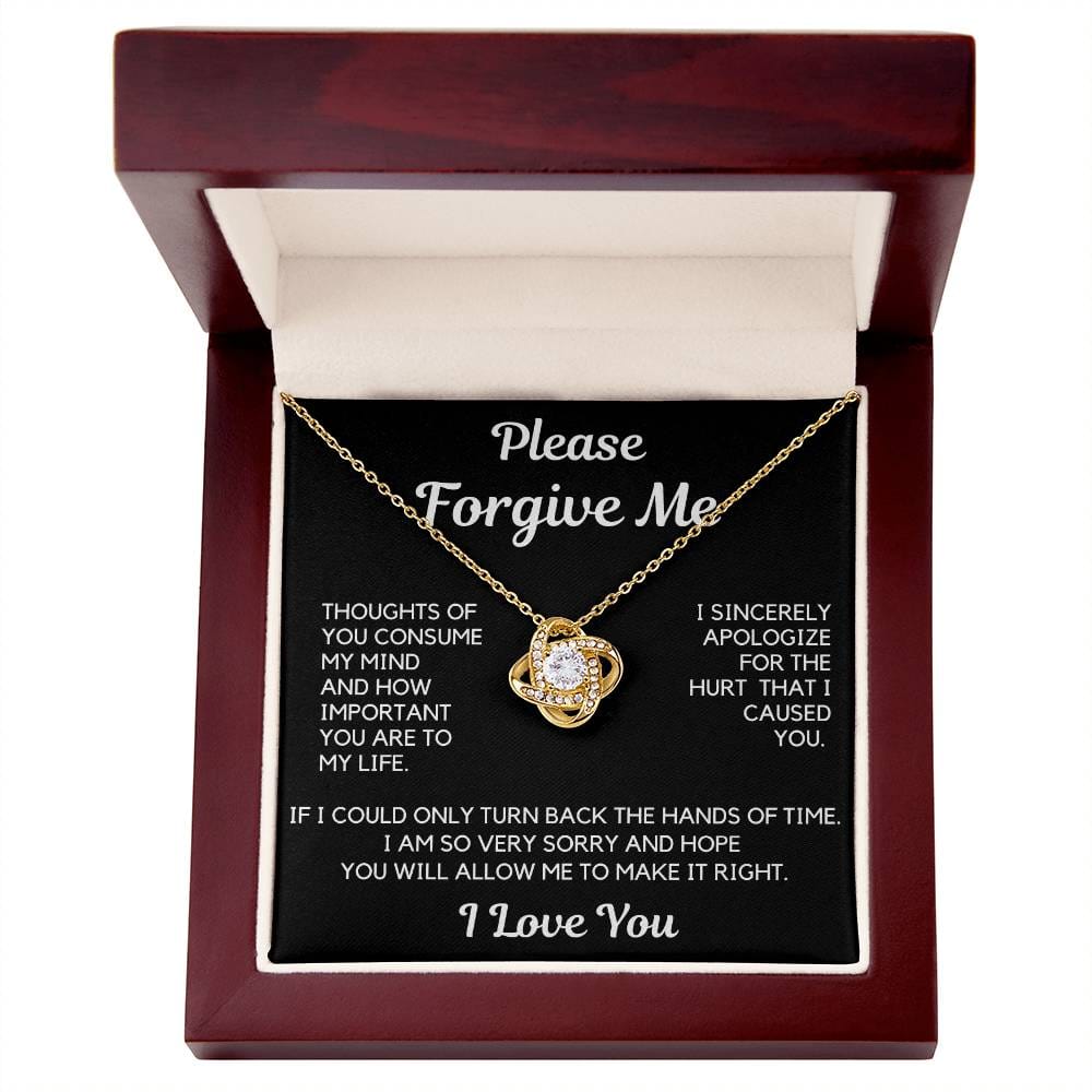 Apology Gift | I Am Sorry, From Him To Her, From Husband, Boyfriend Forgiveness Necklace