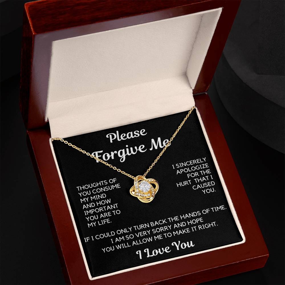 Apology Gift | I Am Sorry, From Him To Her, From Husband, Boyfriend Forgiveness Necklace