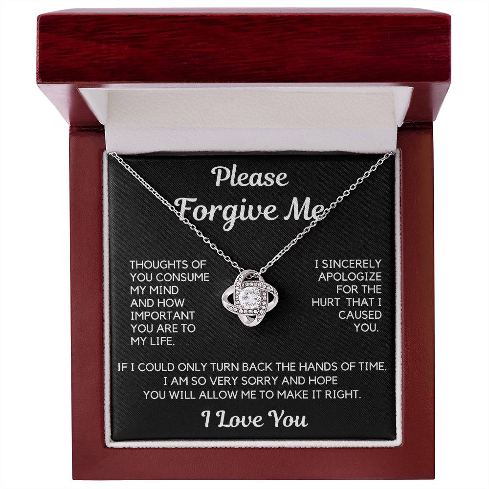 Apology Gift | I Am Sorry, From Him To Her, From Husband, Boyfriend Forgiveness Necklace